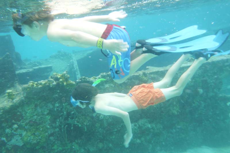 Plonger, nager, palmer