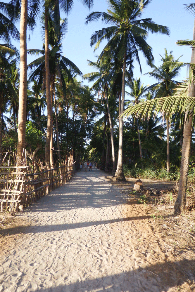 Partir en exploration