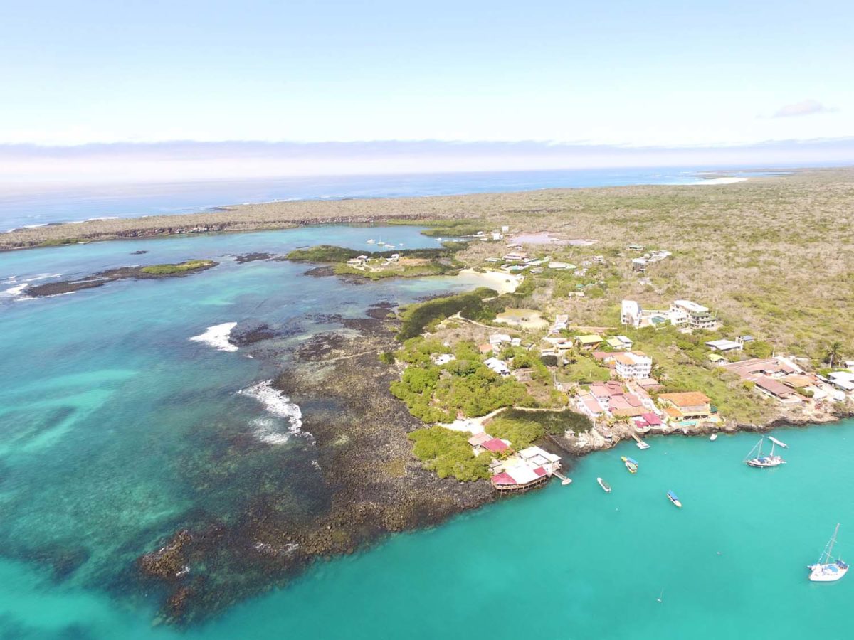 Galapagos, épisode 2 : Santa Cruz