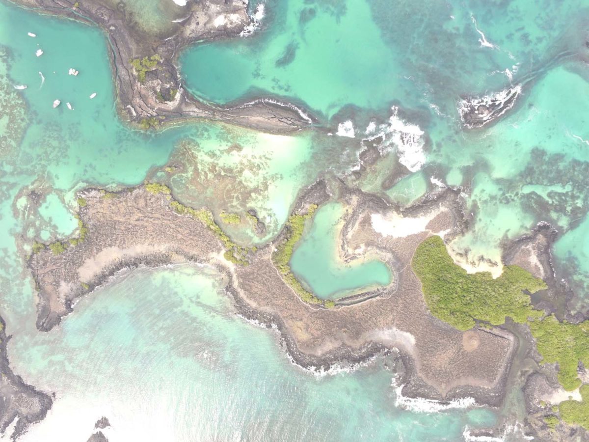 Isabella, Galapagos épisode3