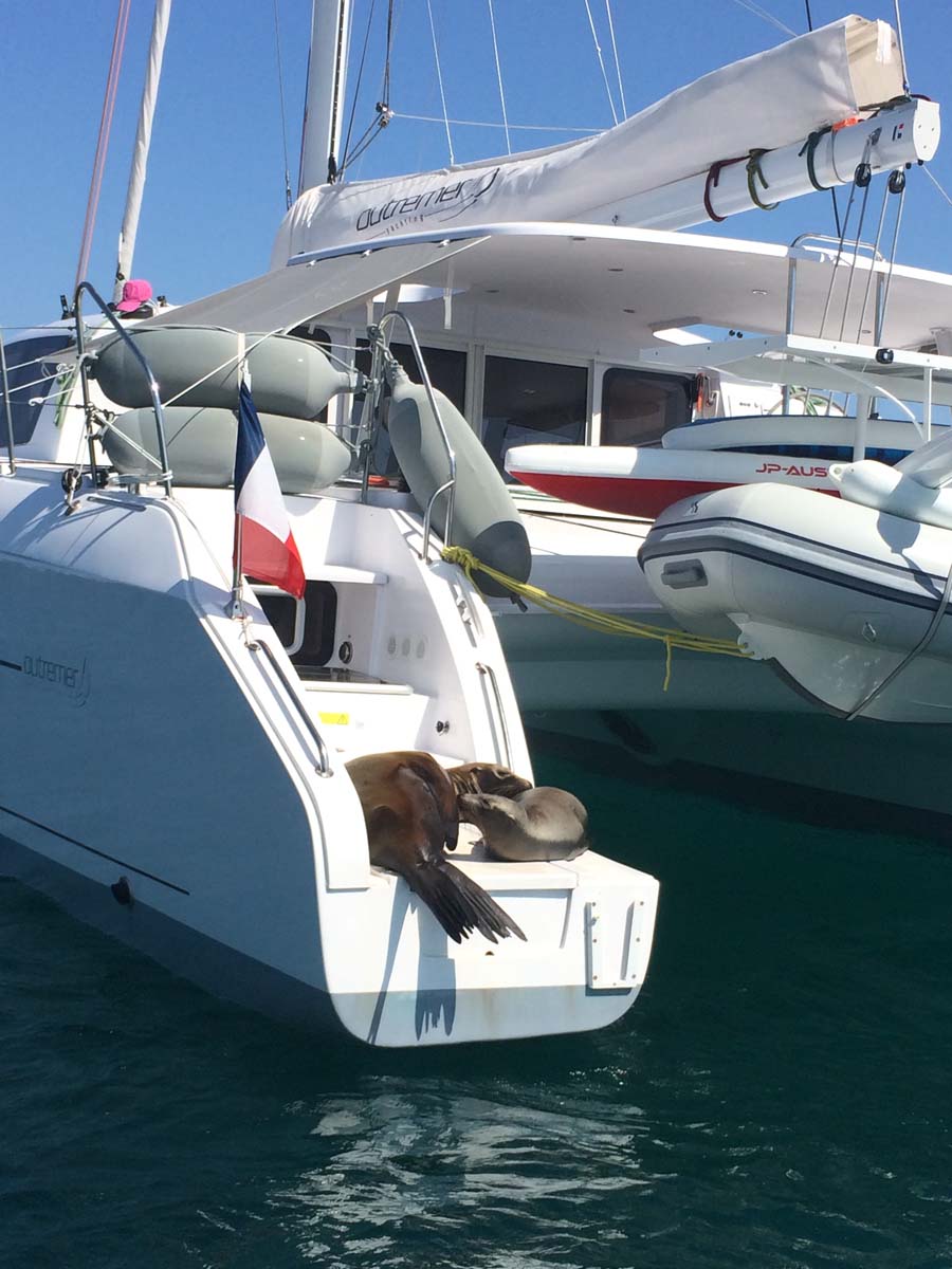 Galapagos épisode 1 : l&rsquo;île de San Cristobal