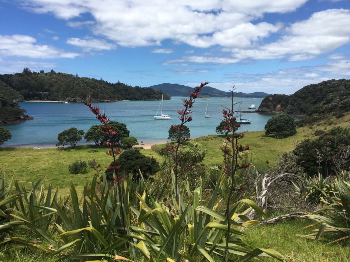 Nouvelle-Zélande : découverte de « Bay of Islands »