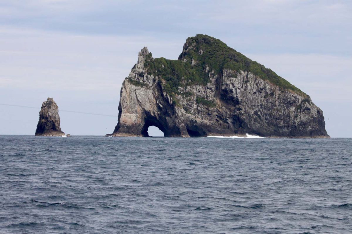 En route vers Auckland