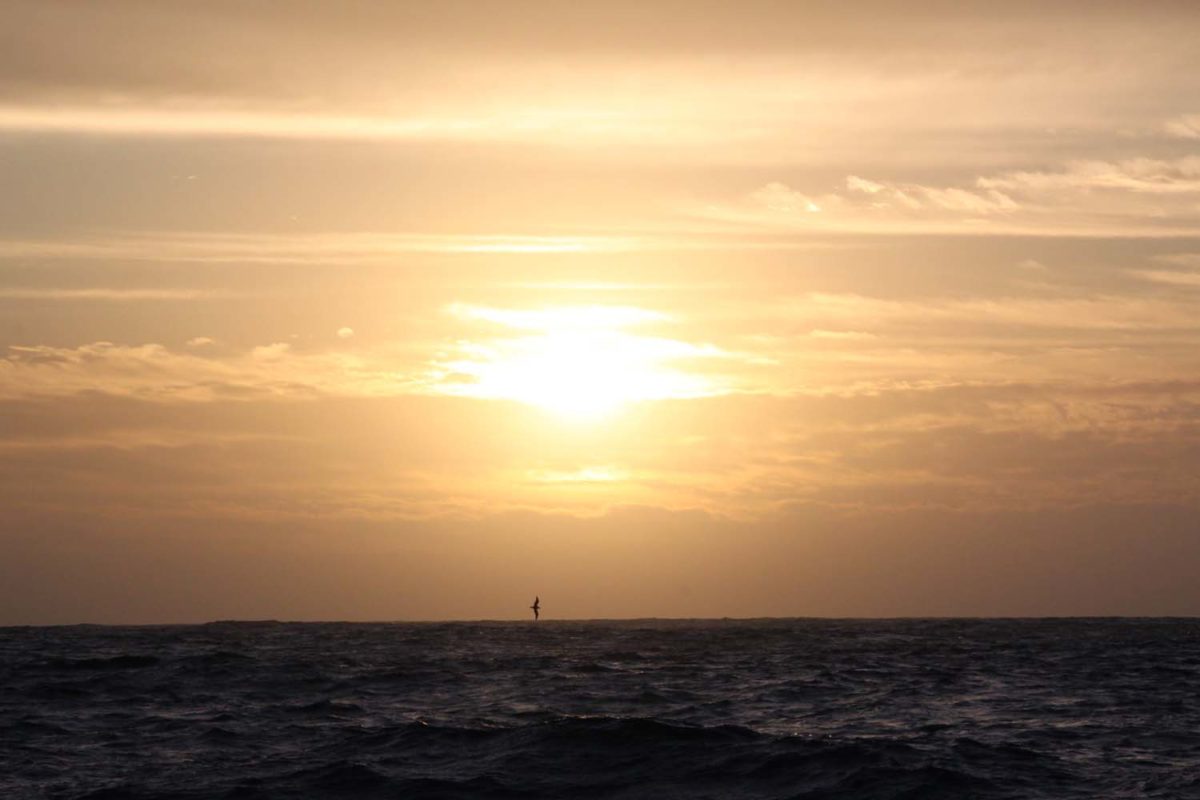 Navigation de l&rsquo;île du Nord vers l&rsquo;île du Sud