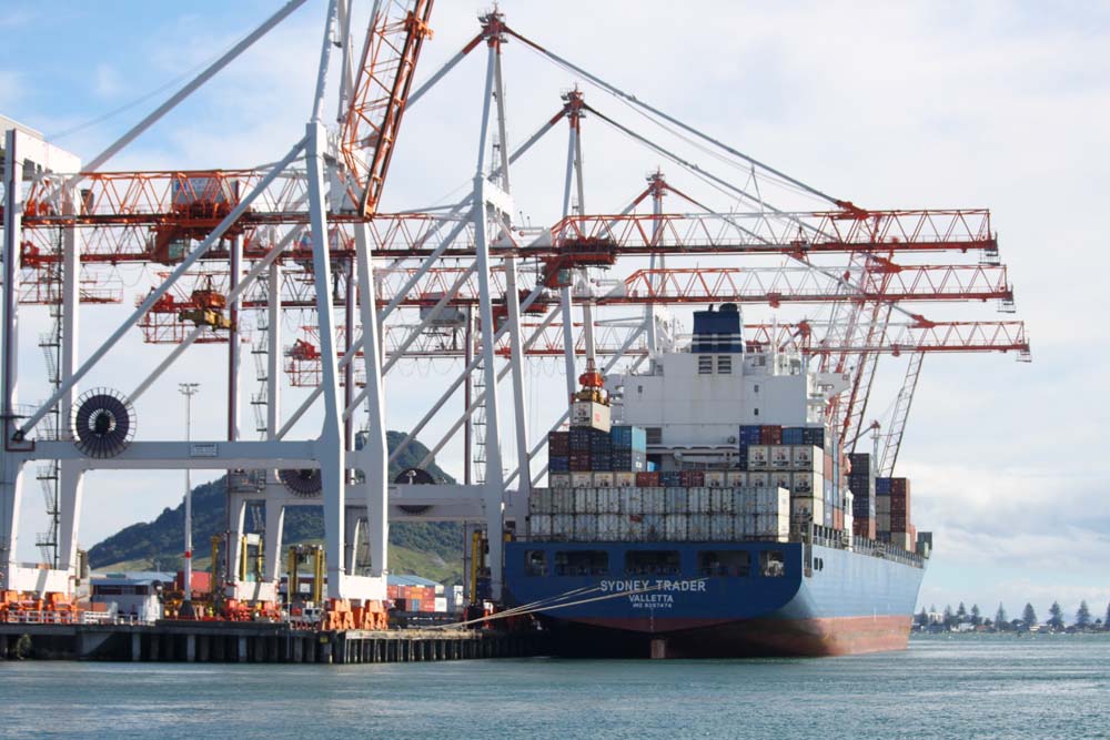 Escale à Tauranga, entre porte-conteneurs et paquebots…