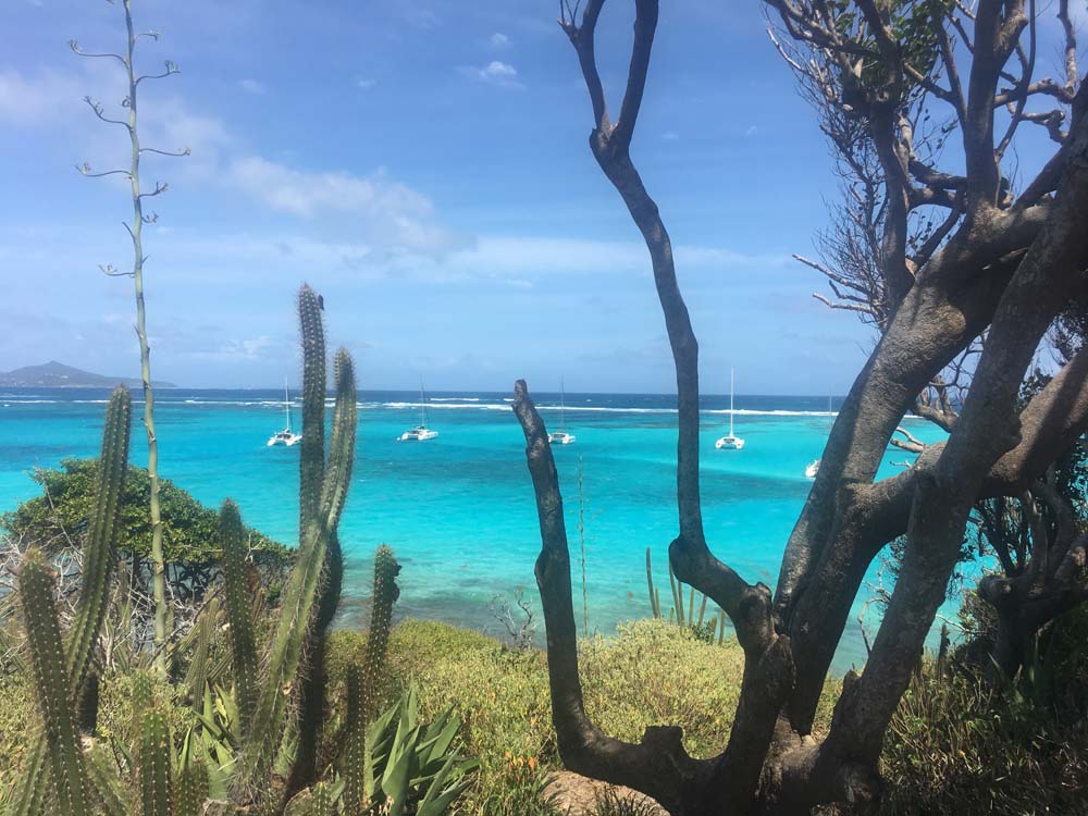 Retour aux Grenadines