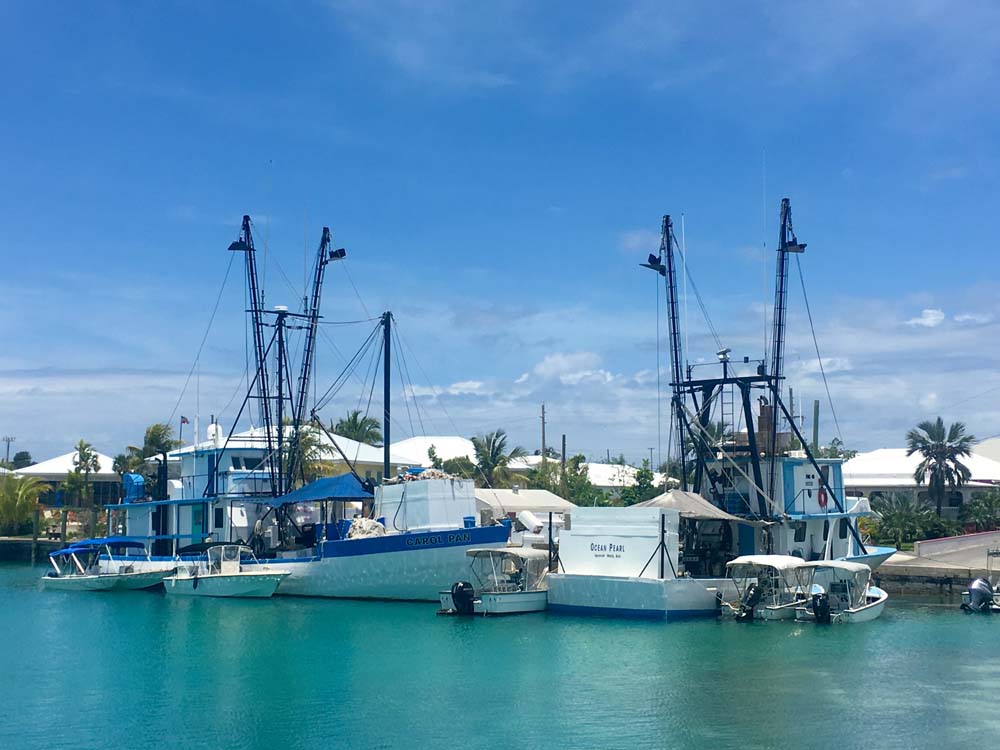Bahamas -4- Préparatifs de transat entre Eleuthera et Cat Island